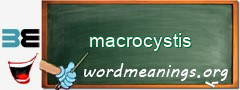 WordMeaning blackboard for macrocystis